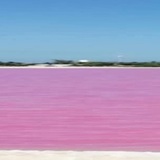 Visit to the Pink Lakes