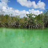 Floating in the Mayan Mangrove Canal
