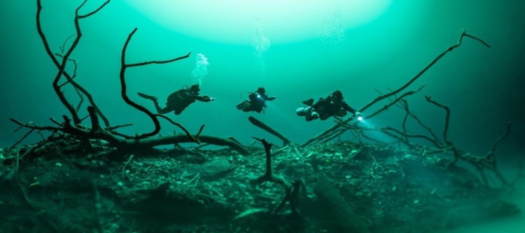 divers at Angelita Cenote