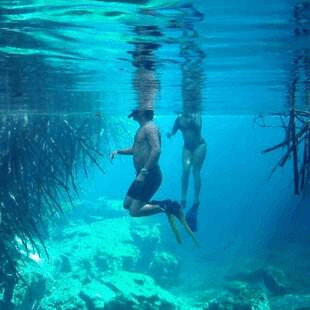 cenote snorkel