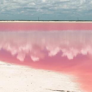 pink lakes las Coloradas