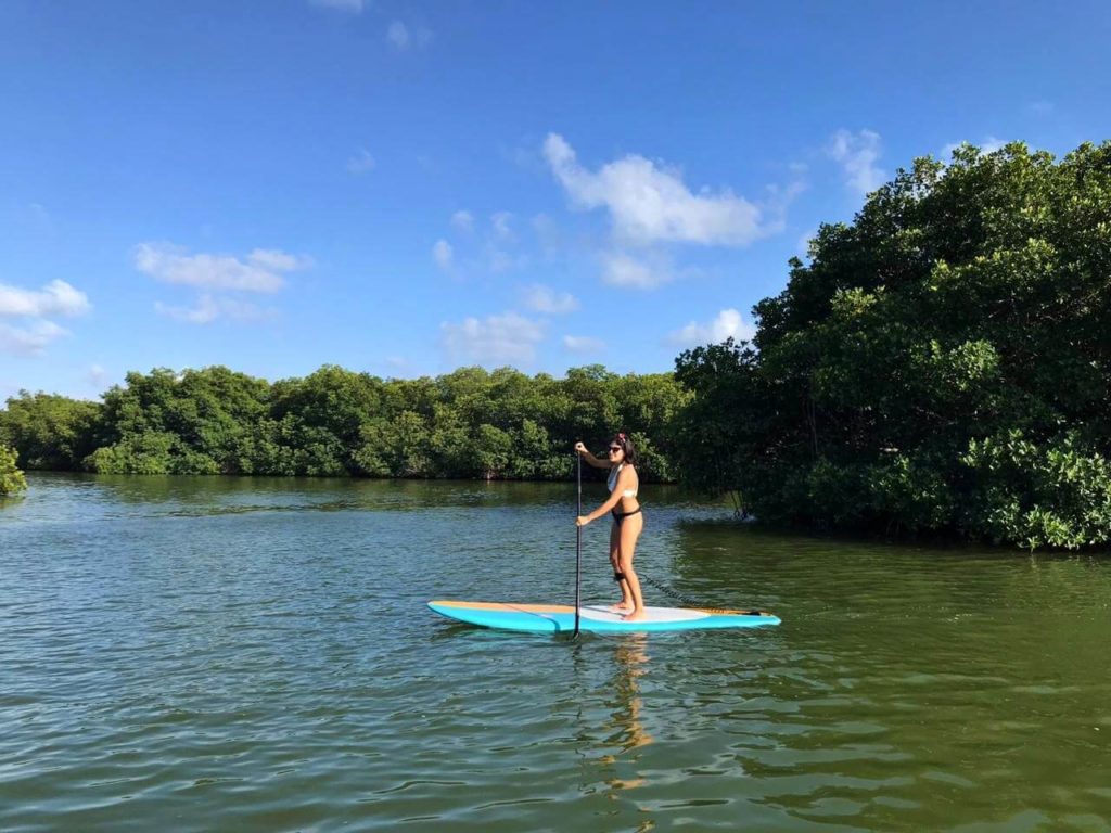 Paddle board tour in Nichupte Lagoon Cancun
