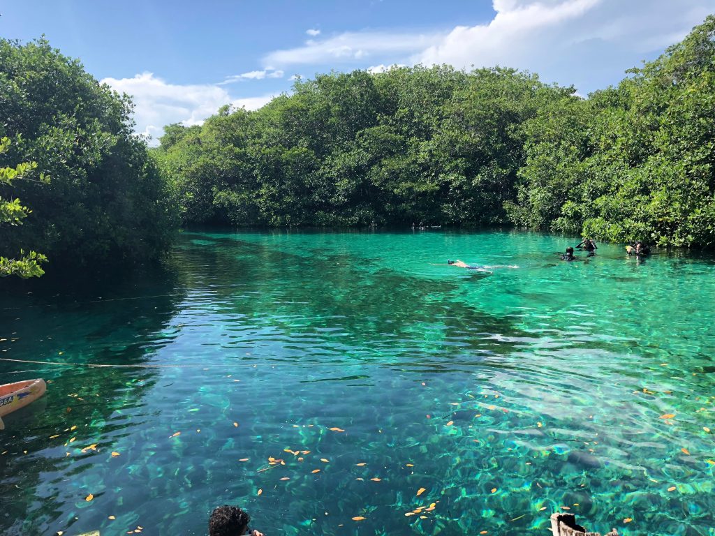 Closest Cenotes to Playa del Carmen - Transportation Tips & Map - Ko'ox ...